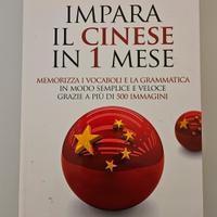 Lingua cinese studio