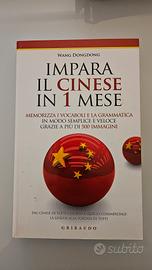 Lingua cinese studio