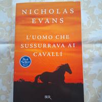 "L'uomo che sussurrava ai cavalli" di N. Evans
