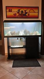 Acquario completo