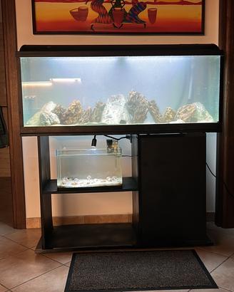 Acquario completo