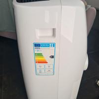 condizionatore Pinguino De Longhi