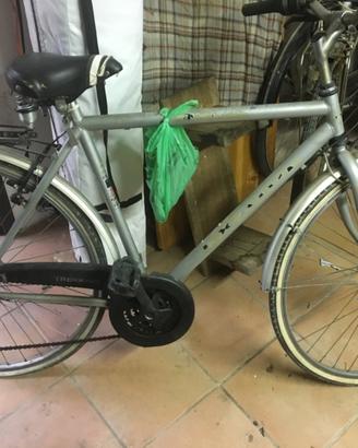 Bici da uomo