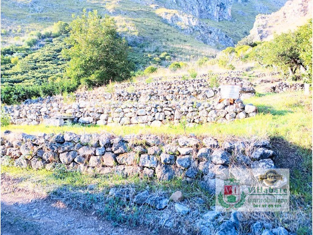 Terreno Agricolo di mq 450 Conca D'Oro - Vista 2
