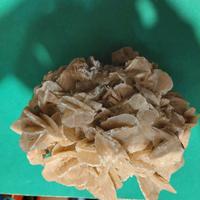 Rosa del deserto