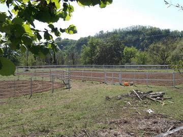 Piccolo maneggio a gestione familiare