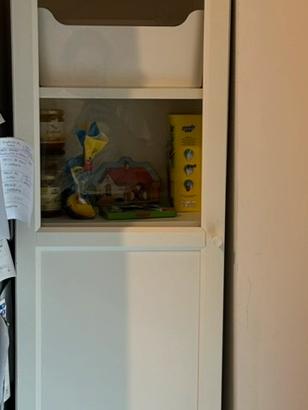 Anta Oxberg di ikea per libreria billy