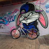 Bicicletta rockrider