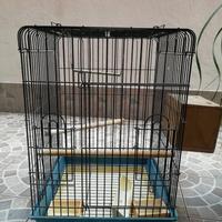 Gabbia per pappagalli