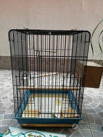 Gabbia per pappagalli