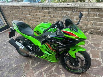ninja kawasaki 500 SE 2024