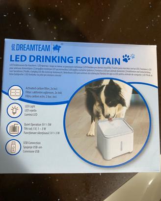 Fontana  cane -gatto