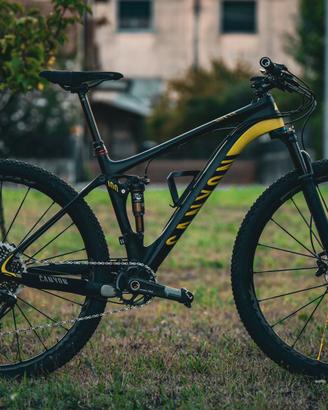 Canyon Lux