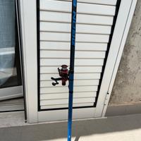 Canna da pesca bolognese 6 mt