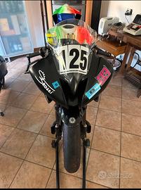 yamaha r6 pronto pista