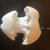 scultura alabastro  TORSOLO DI MELA