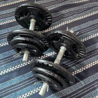 Pesi in ghisa e manubri/40 kg
