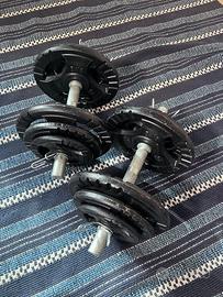 Pesi in ghisa e manubri/40 kg