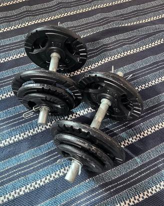 Pesi in ghisa e manubri/40 kg