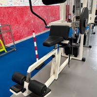 Lower back technogym