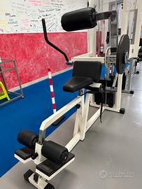 Lower back technogym