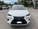 lexus-nx-300h-nx-hybrid-business