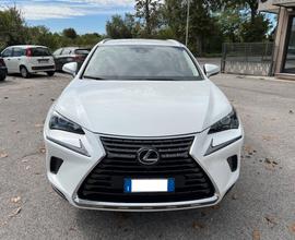 Lexus NX 300h NX Hybrid Business