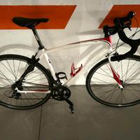Specialized Secteur Comp
