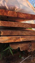Assi di Legno di TASSO Pregiato (Taxus baccata)

