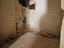 Immagine 14