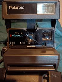 polaroid closeup 