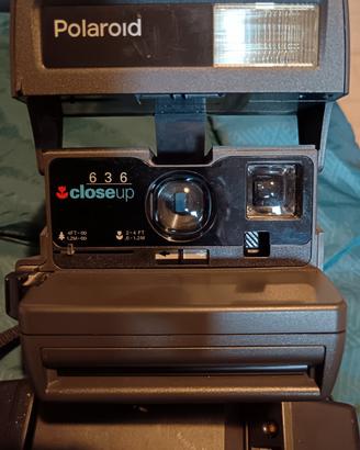 polaroid closeup 