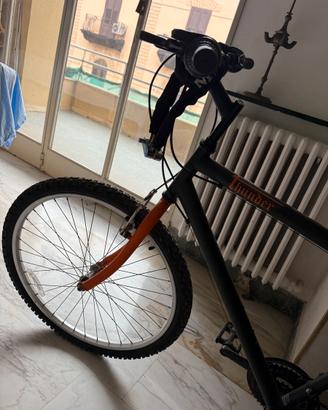 Mountain bike