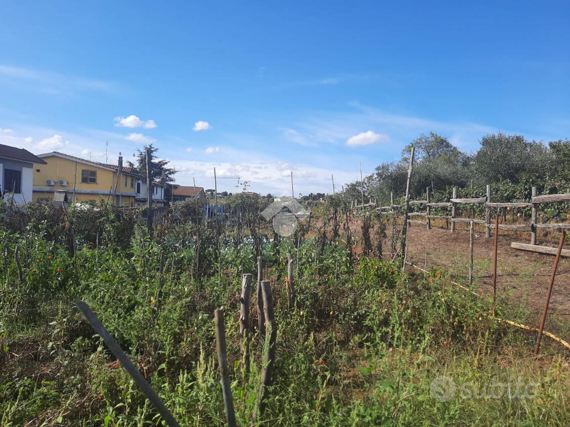TER. AGRICOLO A ALBANO LAZIALE - Vista 5