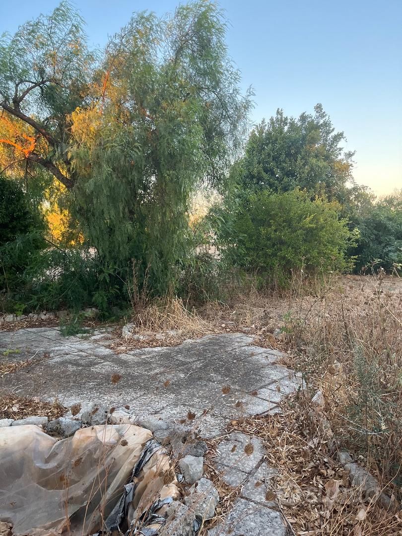 Terreno recintato circa 7000 mq - Altro