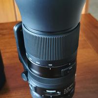 Tamron 150-600 SP2 Nikon
