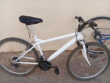 bici  Mountain bike alle tra di cosa