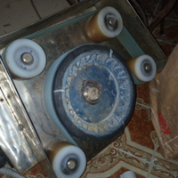 Salpa palamito