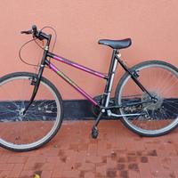 bicicletta Bianchi ibrida 26"