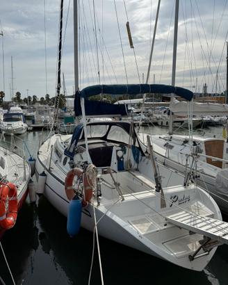 Classis 8.50 Segugio