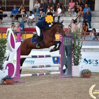 Pony da salto