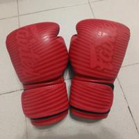 Guantoni boxe fairtex