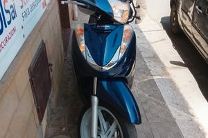 SH 300