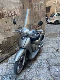 scarabeo usato come nuovo