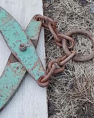 pinza per legna