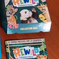 carte collezionabili 