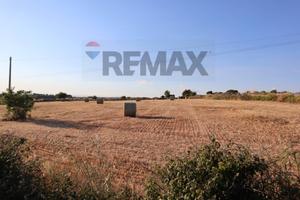 Terreno - Ragusa