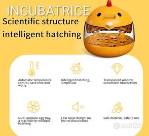 INCUBATRICE 4 UOVA
