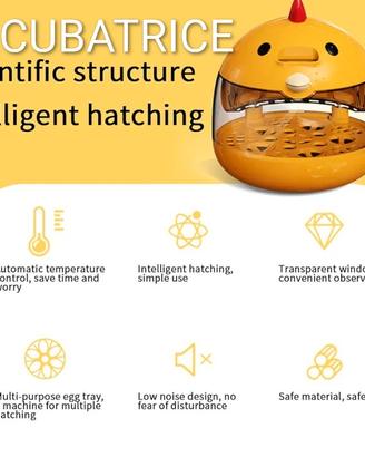 INCUBATRICE 4 UOVA