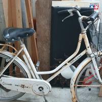 Bici da donna